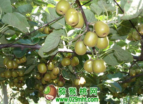PG国际官方网站图片