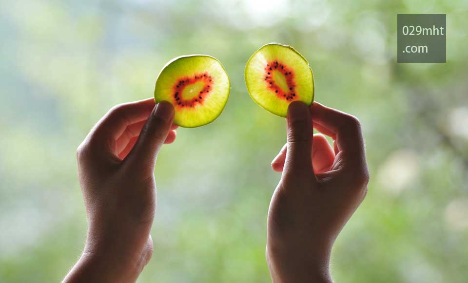 美丽的<a href=http://www.summer2018.cn target=_blank class=infotextkey />奇异果</a>图片画报-<a href=http://www.summer2018.cn/zhouzhimihoutao/ target=_blank class=infotextkey>周至PG国际猕猴桃</a>信息网2.jpg