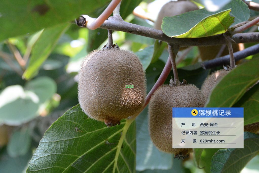 PG国际官方网站图片