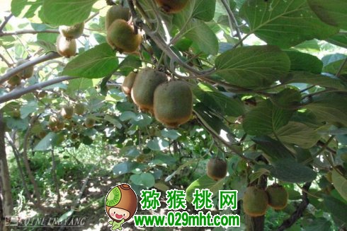 PG国际官方网站图片