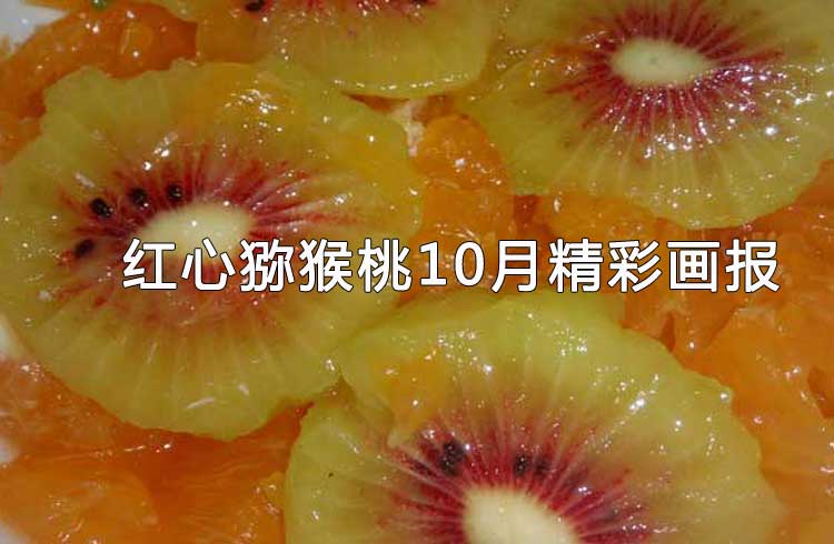 PG国际 76fa2