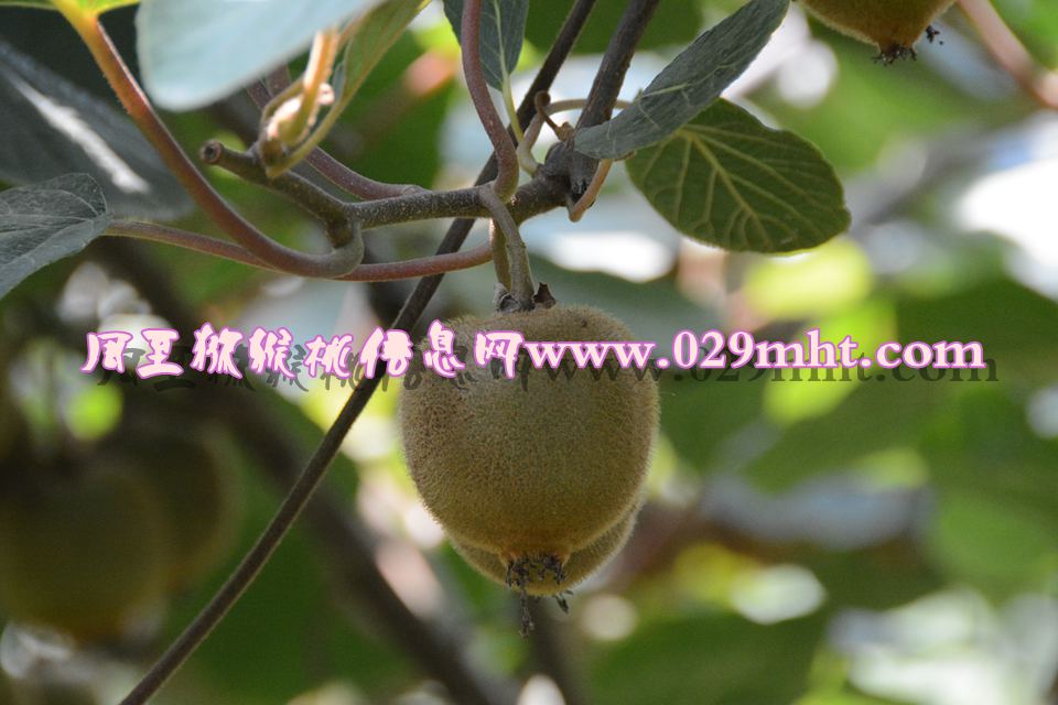 PG国际官方网站图片