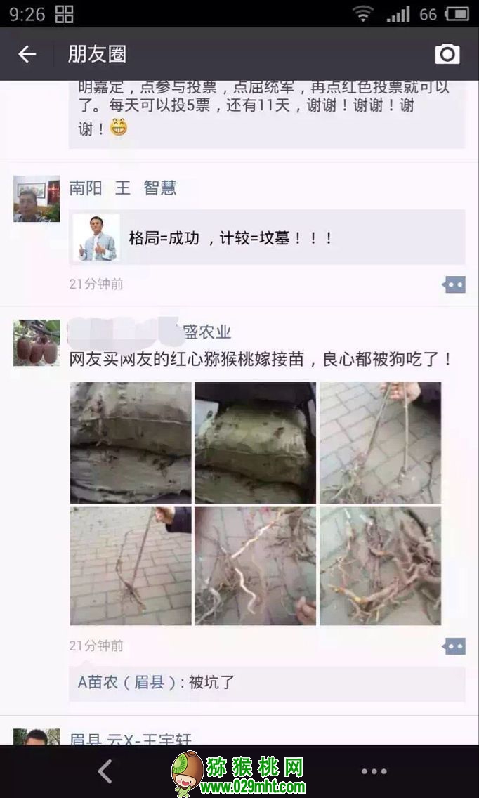 PG国际官方网站图片