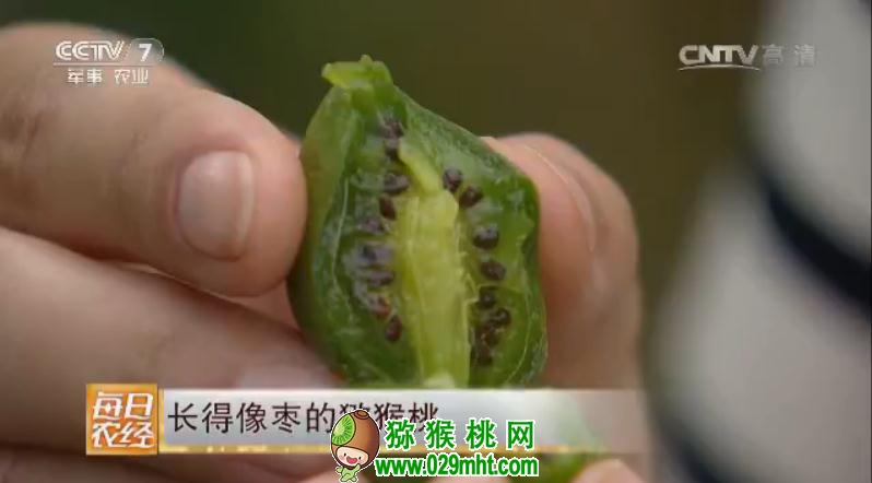 PG国际官方网站图片