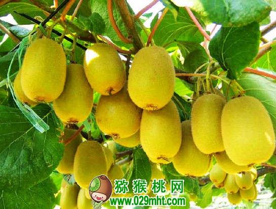 PG国际官方网站图片