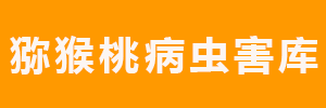PG国际官方网站图片
