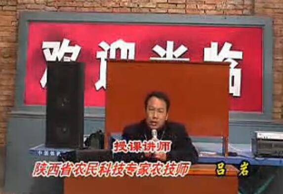 PG国际官方网站图片