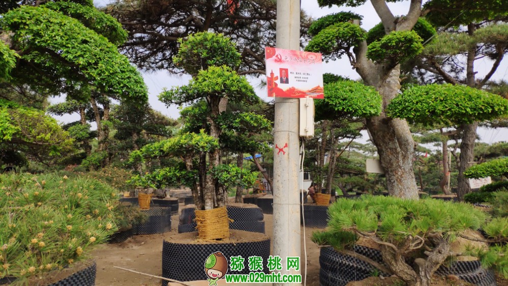 PG国际官方网站图片