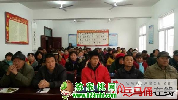 PG国际官方网站图片