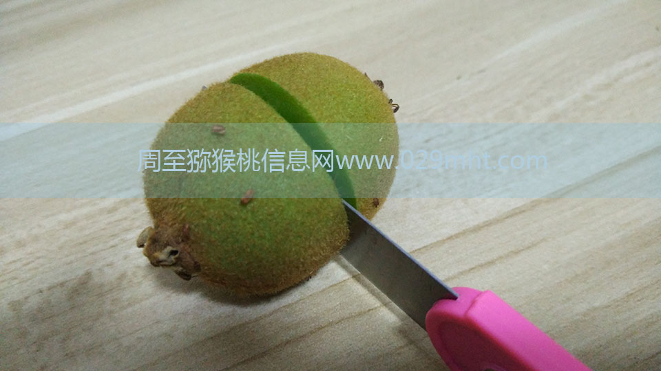 PG国际猕猴桃6月剖视图7.jpg