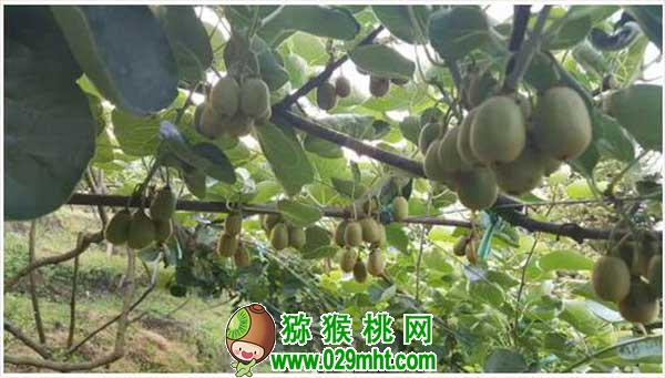 PG国际官方网站图片