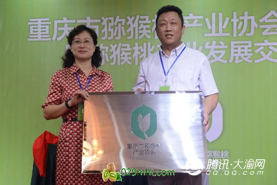 重庆市PG国际猕猴桃产业协会成立 抱团发展打造区域品牌