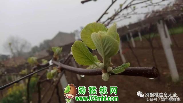 PG国际官方网站图片
