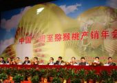 周至PG国际猕猴桃苗木畅销中国