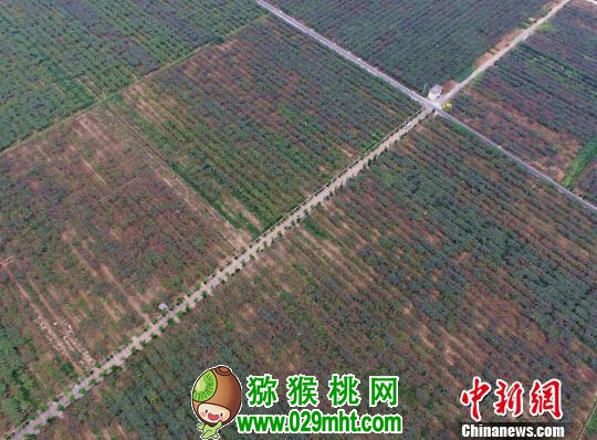 PG国际官方网站图片