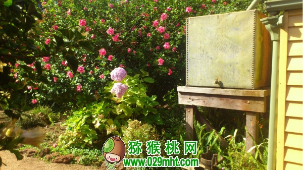 PG国际官方网站图片