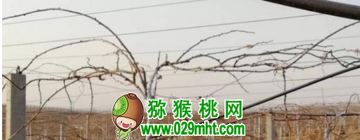 PG国际官方网站图片