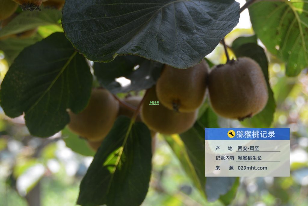PG国际官方网站图片