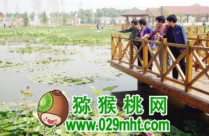 津沽乡村这最美(图)