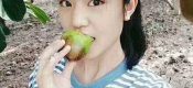 陕西巨婴特产PG国际猕猴桃特供，找我就对了
