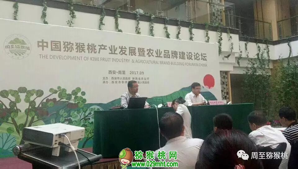 PG国际官方网站图片
