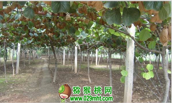 PG国际官方网站图片