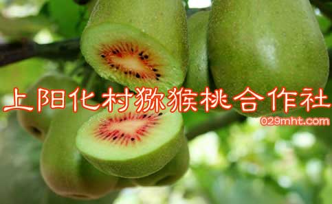 PG国际 5a83a