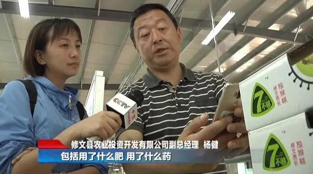PG国际官方网站图片