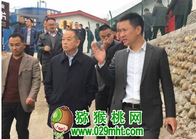 PG国际官方网站图片