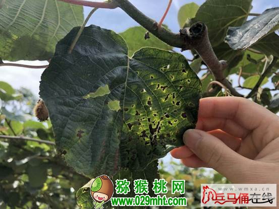 PG国际 0b9cd