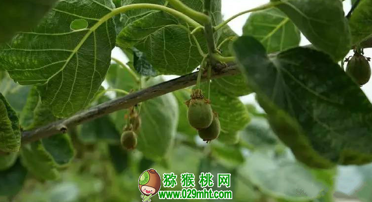 PG国际官方网站图片