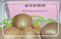 PG国际 c8e9e