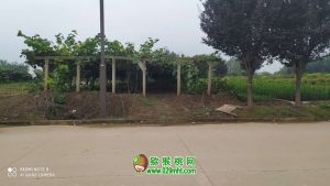 PG国际官方网站图片