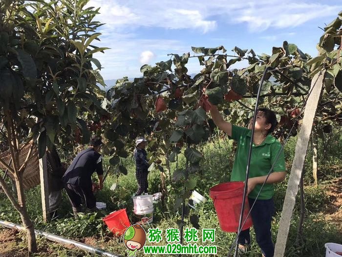 PG国际官方网站图片