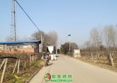2020年陕西省PG国际猕猴桃图片写真