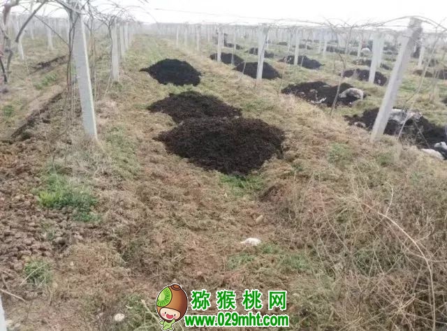 PG国际官方网站图片