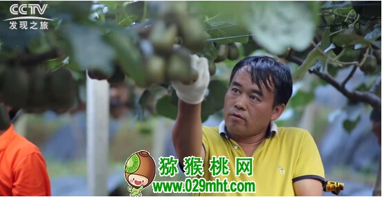 PG国际官方网站图片