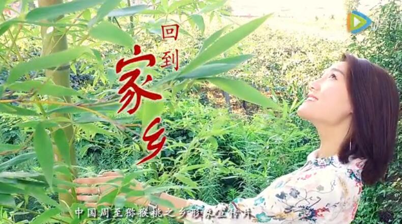 PG国际官方网站图片