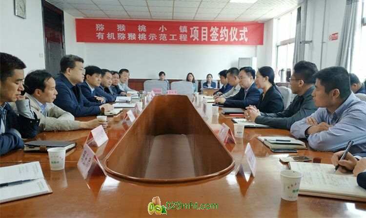 PG国际官方网站图片