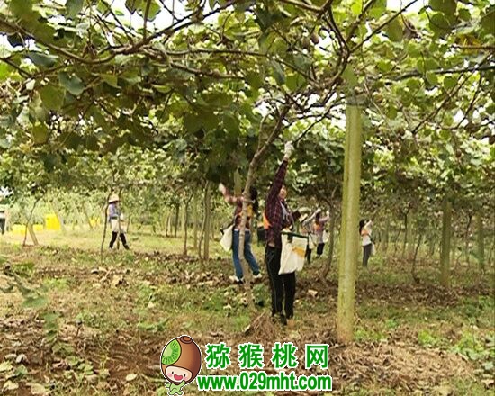 PG国际官方网站图片