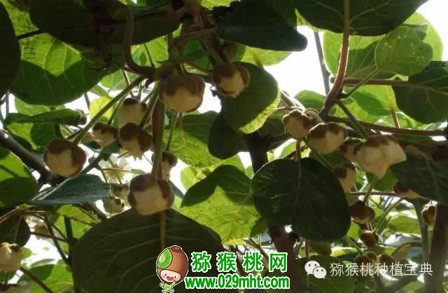 PG国际官方网站图片