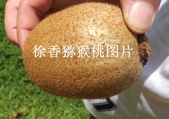 PG国际 8582f
