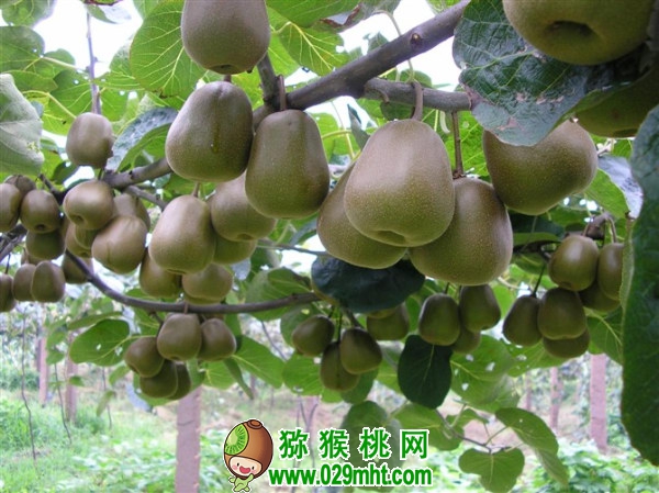 PG国际官方网站图片