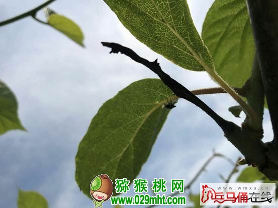PG国际 118d5
