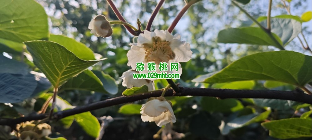 PG国际 211a6