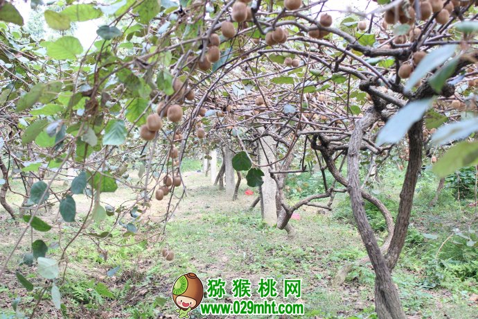PG国际官方网站图片