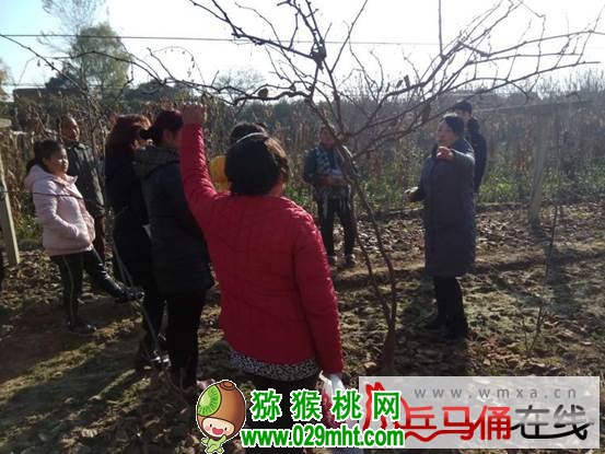 PG国际官方网站图片