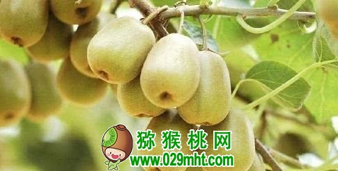 PG国际官方网站图片