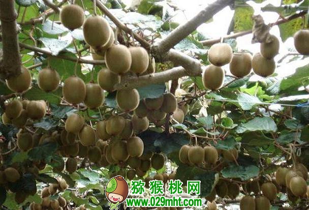 PG国际官方网站图片