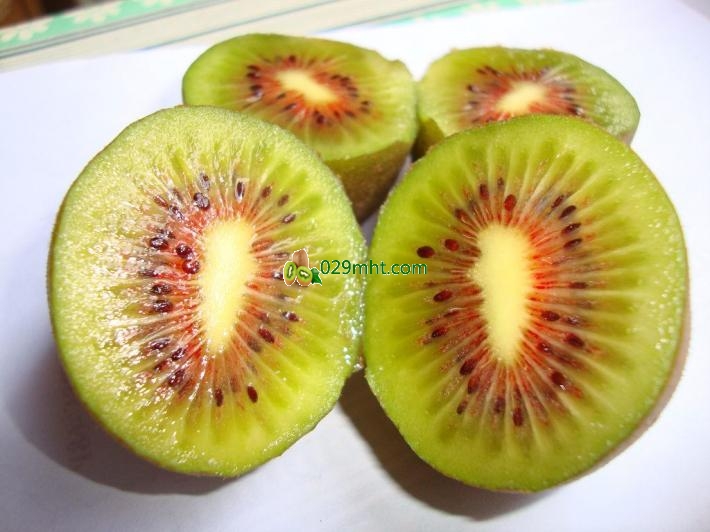 <a href=http://www.summer2018.cn/mht/hongyang/ target=_blank class=infotextkey><a href=http://www.summer2018.cn/mht/hongyang/ target=_blank class=infotextkey><a href=http://www.summer2018.cn/mht/hongyang/ target=_blank class=infotextkey />红阳PG国际猕猴桃</a></a></a>简介